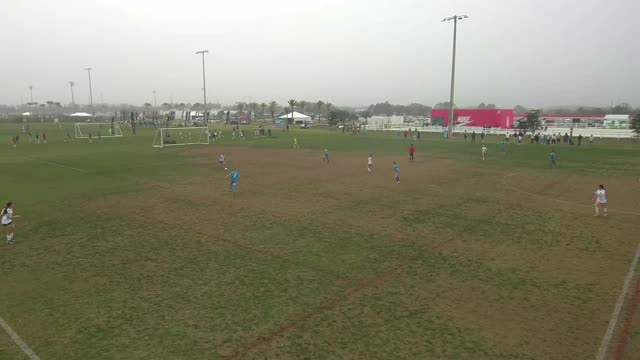 Positive - Scan & Identify - Switch to Overload