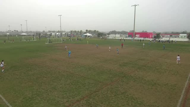 Positive - Scan & Identify - Switch to Overload