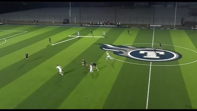 LSHS Attack